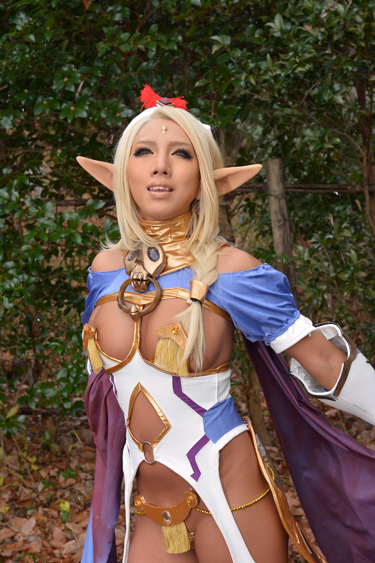 Bikini Warriors – Non – Dark Elf