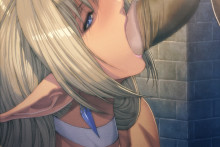 Elf Choukyou – Homare (Fool’s Art) (27)