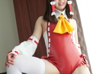 Touhou – Shirouto Chakuerobu – Hakurei Reimu (48)