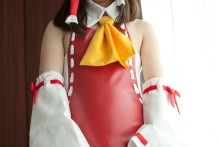 Touhou – Shirouto Chakuerobu – Hakurei Reimu (75)