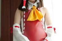 Touhou – Shirouto Chakuerobu – Hakurei Reimu (77)