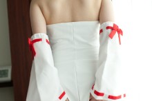 Touhou – Shirouto Chakuerobu – Hakurei Reimu (96)