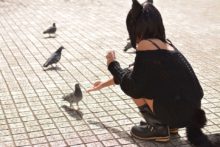 Non – Black Cat Club (98)