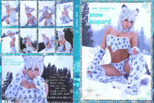 Non – Snow Leopard (1)