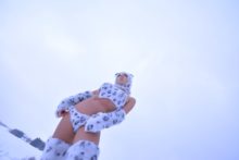 Non – Snow Leopard (103)