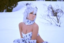 Non – Snow Leopard (11)