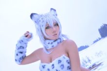 Non – Snow Leopard (113)