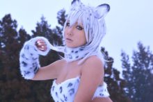 Non – Snow Leopard (120)