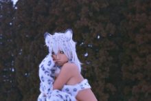 Non – Snow Leopard (128)