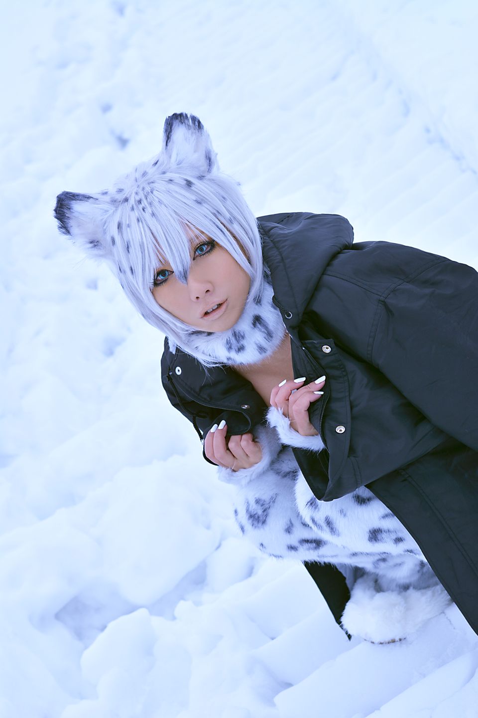 Non – Snow Leopard