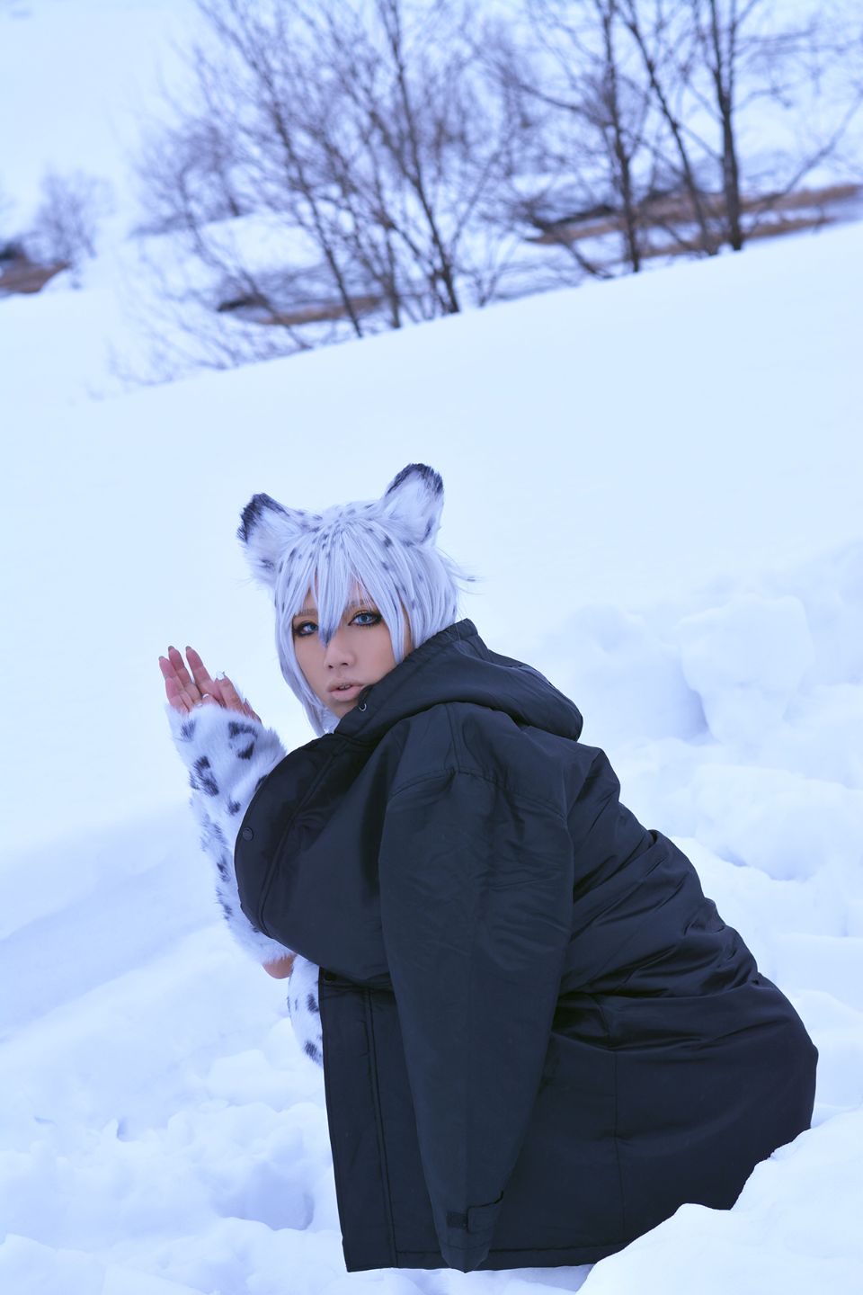 Non – Snow Leopard