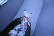 Non – Snow Leopard (162)