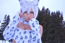 Non – Snow Leopard (30)