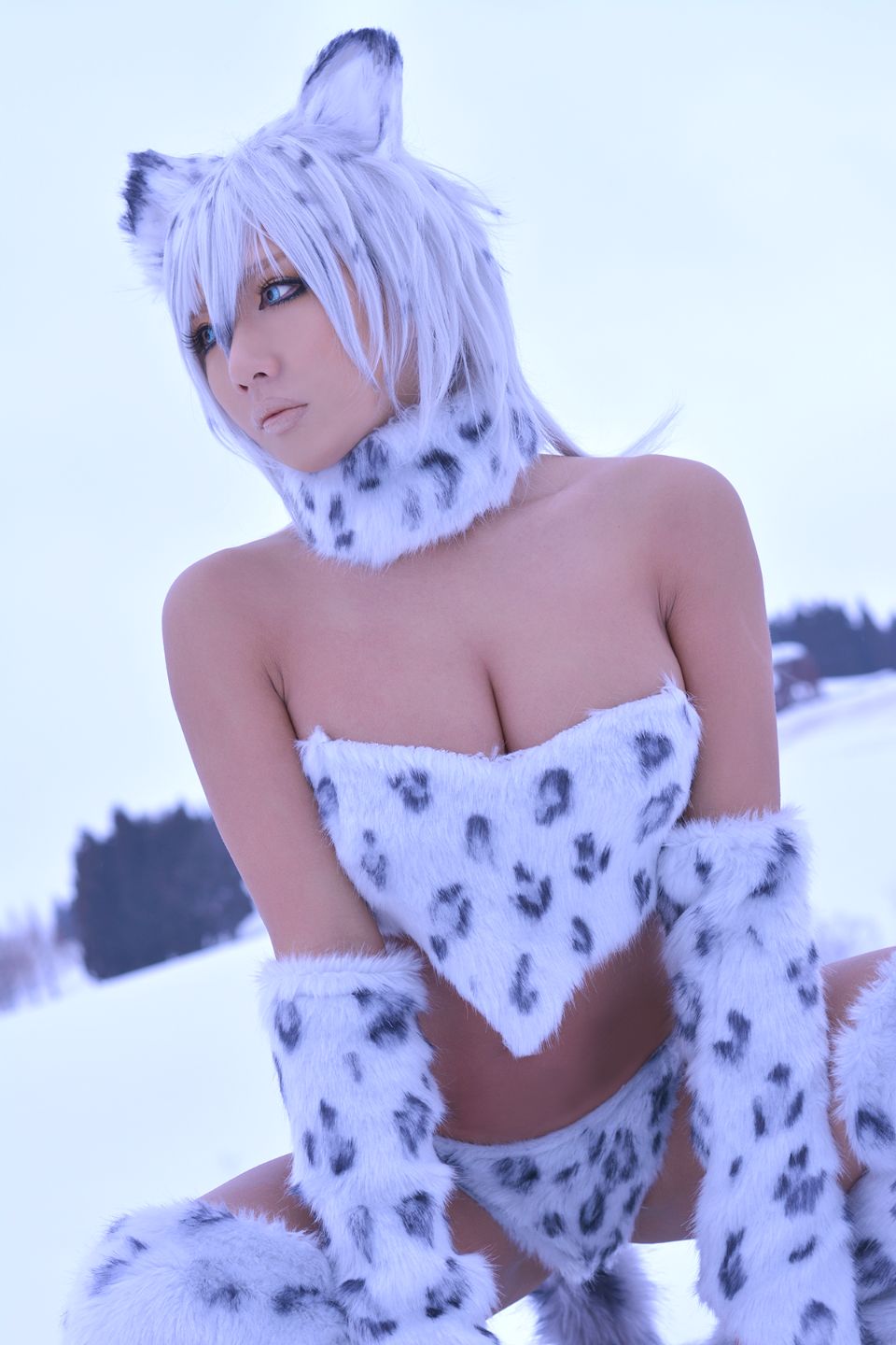 Non – Snow Leopard