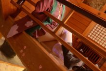 Vocaloid – Okada Yui – Miku, Luka (65)