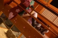 Vocaloid – Okada Yui – Miku, Luka (66)