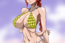 one-piece-nel-zel-formula-rebecca-7