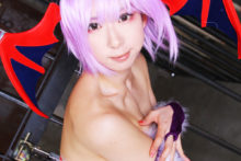 darkstalkers-sachibudou-lilith-morrigan-28