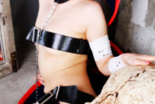 darkstalkers-sachibudou-lilith-morrigan-326