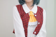 Touhou – Yurikawa Sara – Kazami Yuuka (1001)