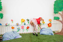 Little Red Riding Hood – Krissy, Bruce – Little Red Riding Hood (337)