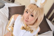 Kemono Friends – Nisizuku Hiyo – Serval (224)