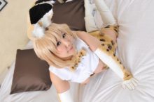 Kemono Friends – Nisizuku Hiyo – Serval (248)