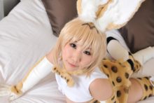 Kemono Friends – Nisizuku Hiyo – Serval (257)