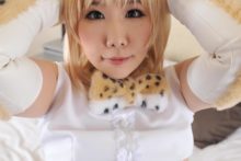 Kemono Friends – Nisizuku Hiyo – Serval (282)