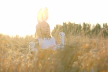 Kemono Friends – Nisizuku Hiyo – Serval (3)