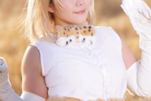Kemono Friends – Nisizuku Hiyo – Serval (88)