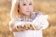 Kemono Friends – Nisizuku Hiyo – Serval (92)