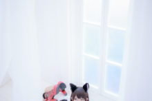 Bakemonogatari – Ayato, Nagisa – Tsubasa, Tsukihi (932)