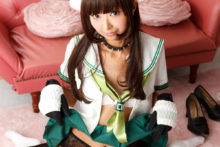 Highschool of the Dead – Necoco – Saeko Busujima (53)