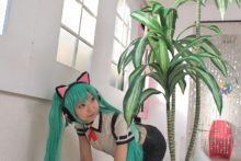 Project Necoco – Necoco – Miku, Ulala (165)