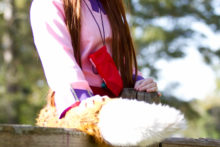 Spice and Wolf – Foxy, Akemi – Horo (104)