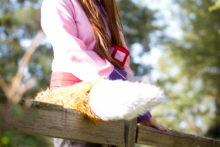 Spice and Wolf – Foxy, Akemi – Horo (106)