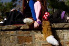 Spice and Wolf – Foxy, Akemi – Horo (13)