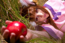 Spice and Wolf – Foxy, Akemi – Horo (138)