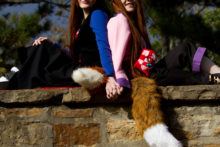 Spice and Wolf – Foxy, Akemi – Horo (14)