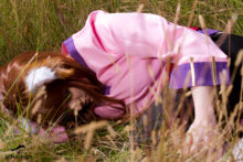 Spice and Wolf – Foxy, Akemi – Horo (146)