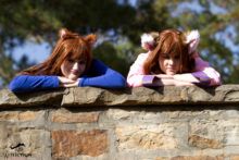 Spice and Wolf – Foxy, Akemi – Horo (18)