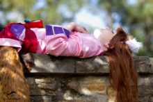 Spice and Wolf – Foxy, Akemi – Horo (29)