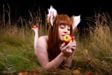 Spice and Wolf – Foxy, Akemi – Horo (291)