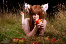 Spice and Wolf – Foxy, Akemi – Horo (292)