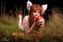 Spice and Wolf – Foxy, Akemi – Horo (293)