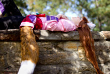 Spice and Wolf – Foxy, Akemi – Horo (30)
