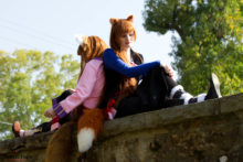 Spice and Wolf – Foxy, Akemi – Horo (7)