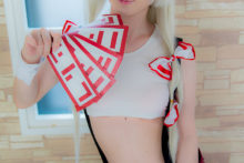 Touhou (23)