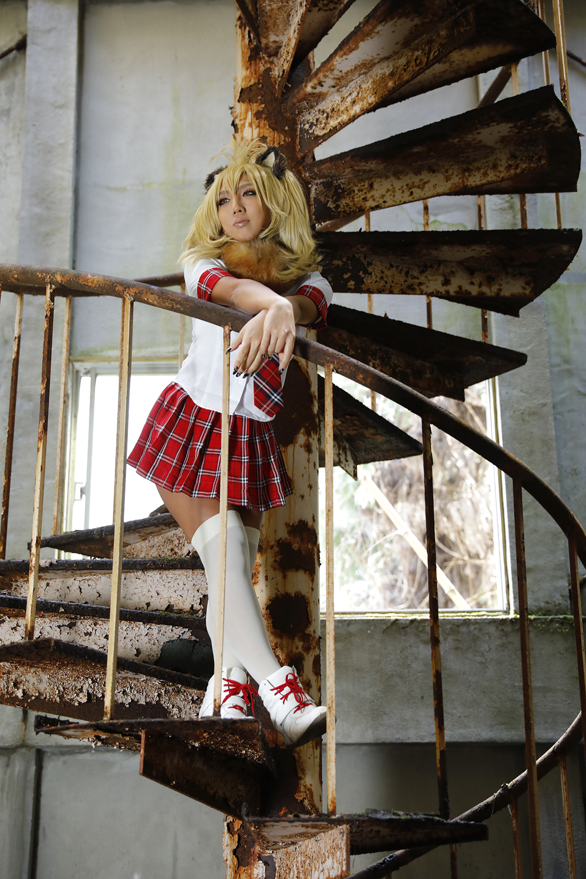 Kemono Friends – Non – Lion